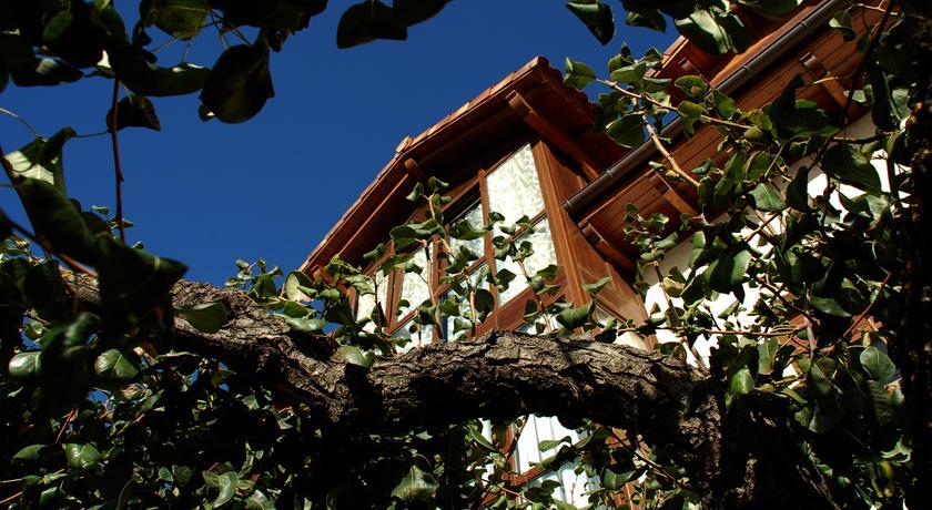 إلثييغو Casa Rural Rojanda المظهر الخارجي الصورة