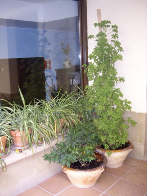 إلثييغو Casa Rural Rojanda المظهر الخارجي الصورة